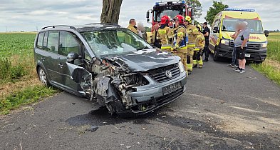 Auto uderzyło w drzewo, jedna osoba trafiła do szpitala-50091