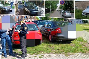Mistrzowie parkowania w Inowrocławiu-50134