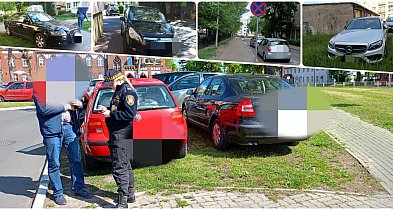 Mistrzowie parkowania w Inowrocławiu-50134