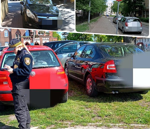Mistrzowie parkowania w Inowrocławiu-50134