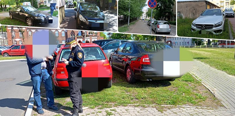 Mistrzowie parkowania w Inowrocławiu - 50134