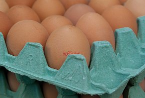 Salmonella na jajach znanej marki. Nie jedz, jeśli masz je w lodówce!-50153