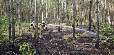 Pożar lasu w okolicy Jezuickiej Strugi. Trwa akcja gaśnicza-50266