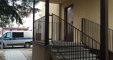 To był skok stulecia w Janikowie! Włamywacz ukradł mięso i zabawkę-50318