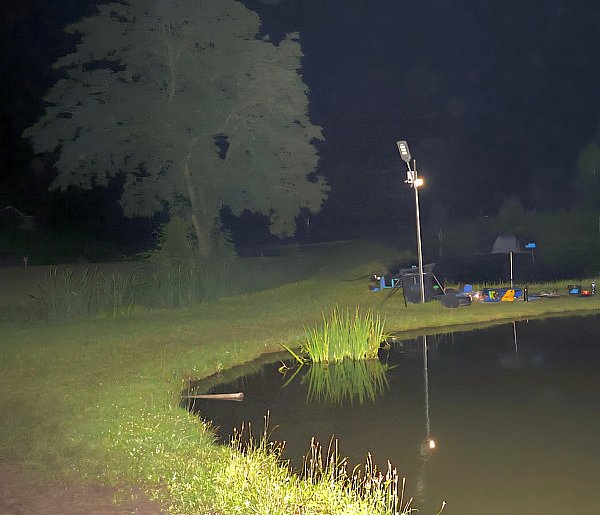 Tragiczny finał nocnego wędkowania. 65-latek utonął w stawie-50380
