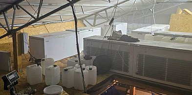 Wielka antynarkotykowa akcja CBŚP. Inowrocław w jednej z głównych ról-50388