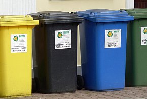 Koniec z darmowymi workami na śmieci. Tak zmieniają się zasady w gminach-50459