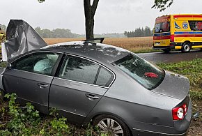 Samochód uderzył w drzewo, jedna osoba w szpitalu-50853