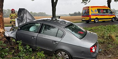 Samochód uderzył w drzewo, jedna osoba w szpitalu-50853