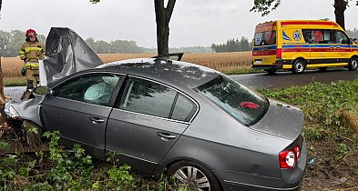 Samochód uderzył w drzewo, jedna osoba w szpitalu-50853