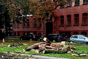 Strażacy mieli pełne ręce roboty-50862
