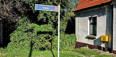 rolKI24.INFO | Tajemnicze schody. Dokąd prowadzą?-50887