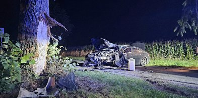 Nocny wypadek. Mercedes wbił się w drzewo-51310