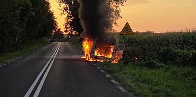 Samochód na prąd poszedł z dymem-51352