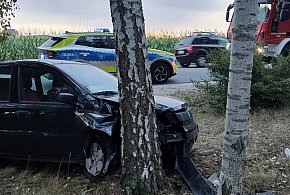 Panda uderzyła w drzewo. Poranny wypadek pod Złotnikami Kujawskimi-51677