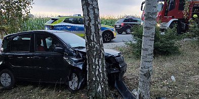 Panda uderzyła w drzewo. Poranny wypadek pod Złotnikami Kujawskimi-51677