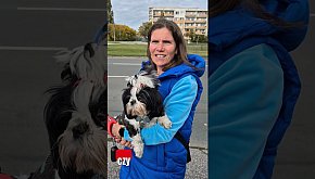 Wczoraj psiaki przejęły Galerię...