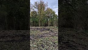 Już niedługo teren podzamcza ożyje...