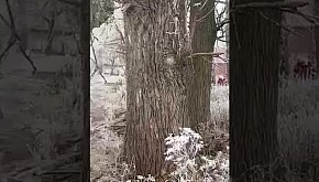 Poszukiwania 62-latka pod Pakością