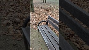 W Inowrocławiu solidnie...