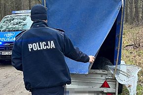 Policyjne patrole w lasach-5976