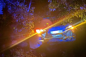 BMW wjechało w tył opla. Skończyli w krzakach-52314