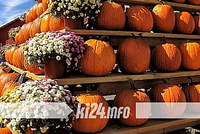 Gminny Festiwal Dyni w Gnojnie. Jesienne smaki i rodzinne atrakcje-53028