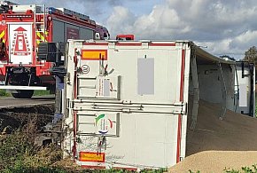 Zboże trafiło na pole, ale chyba nie o taki siew chodziło-53106