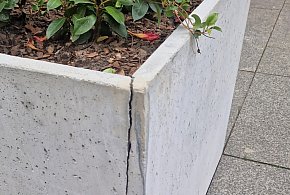 Popękane donice na Królówce: Znamy ciąg dalszy-53121