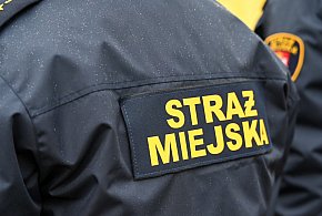 Zapuka strażnik, zapłacisz karę. Ruszyły kontrole w całej Polsce-53140
