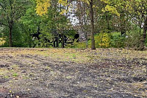 rolKI24.INFO | Duże zmiany pod Mysią Wieżą-53439