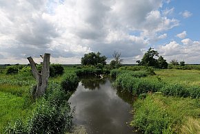 Co dalej z nowym parkiem narodowym? Minister klimatu zdradza plan po wecie-54120