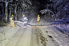 Strażacy mają pełne ręce roboty po nocnych opadach śniegu-54615