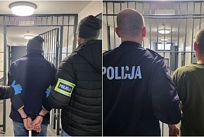 Ojciec i syn z zarzutami. Nie żyje pies, dwa inne skrajnie zaniedbane-54720