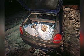 Nocny pościg za kłusownikami i 100 kg ryb z Gopła w bagażniku opla-54747