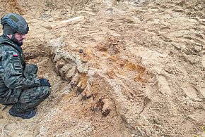 Saperzy z Inowrocławia usunęli ponad 100 pocisków. W pobliżu stoją bloki-55071