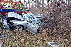 Audi skończyło na drzewie. Jedna osoba poszkodowana-55308