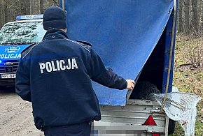 Patrolują lasy, zaglądają do bagażników i na przyczepy-55336