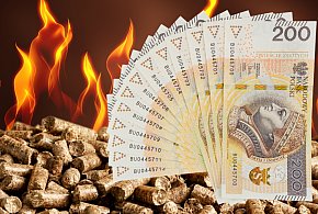 Okazyjnie kupił pięć palet z pelletem, dostał tylko jedną-56062