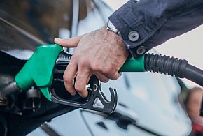 Rzecznik rządu: na dniach będzie zaproponowane rozwiązanie ws. cen paliw