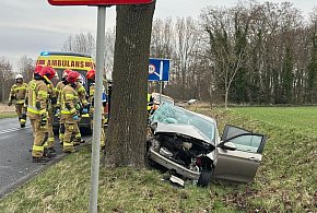 Fiat uderzył w drzewo. Kierująca trafiła do szpitala