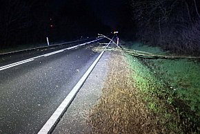 Wiatr nie odpuszcza. Strażacy interweniują w całym powiecie