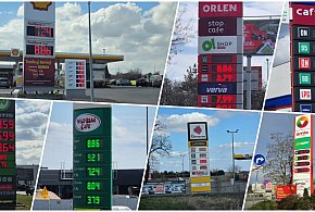 Sondaż dla „SE”: 80 proc. Polaków na tak dla cen urzędowych paliw