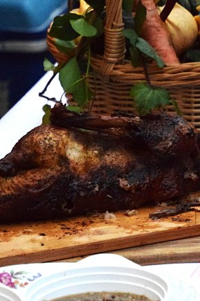 Festyn z gęsiną w tle-5863