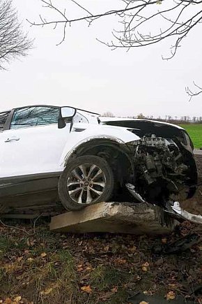 Uderzyła fordem w drzewo-5870