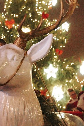 GNIEWKOWO - Jarmark Bożonarodzeniowy-5932