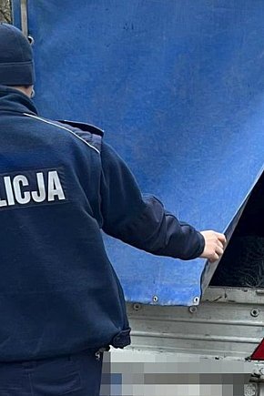 Policyjne patrole w lasach-5976