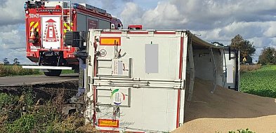 Zboże trafiło na pole, ale chyba nie o taki siew chodziło-53106
