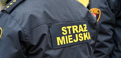 Zapuka strażnik, zapłacisz karę. Ruszyły kontrole w całej Polsce-53140