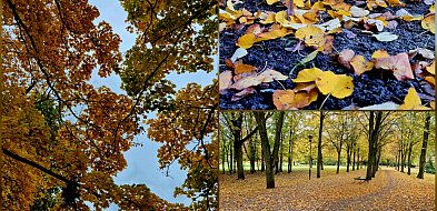 rolKI24.INFO | 🍂 W Solankach już prawdziwa jesień! 🍁-53250